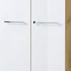 Büroregale | Germania Aktenschrank