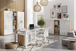 Büroregale | Germania Aktenschrank