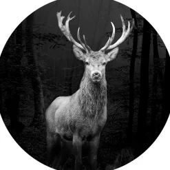 Bilder | Pro-Art Bild