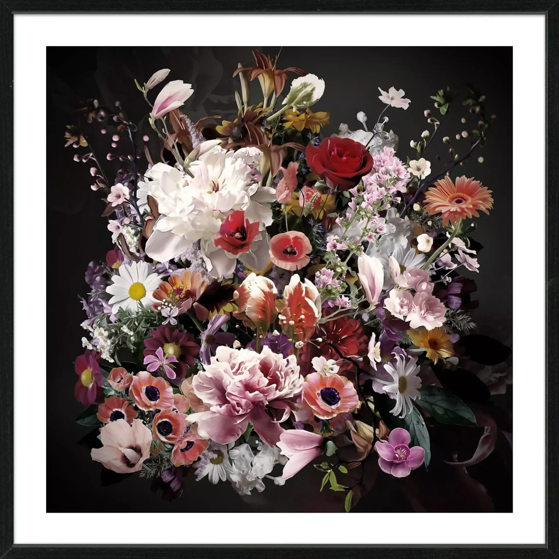Bilder | Pro-Art Bild