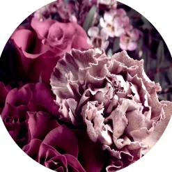 Bilder | Pro-Art Bild