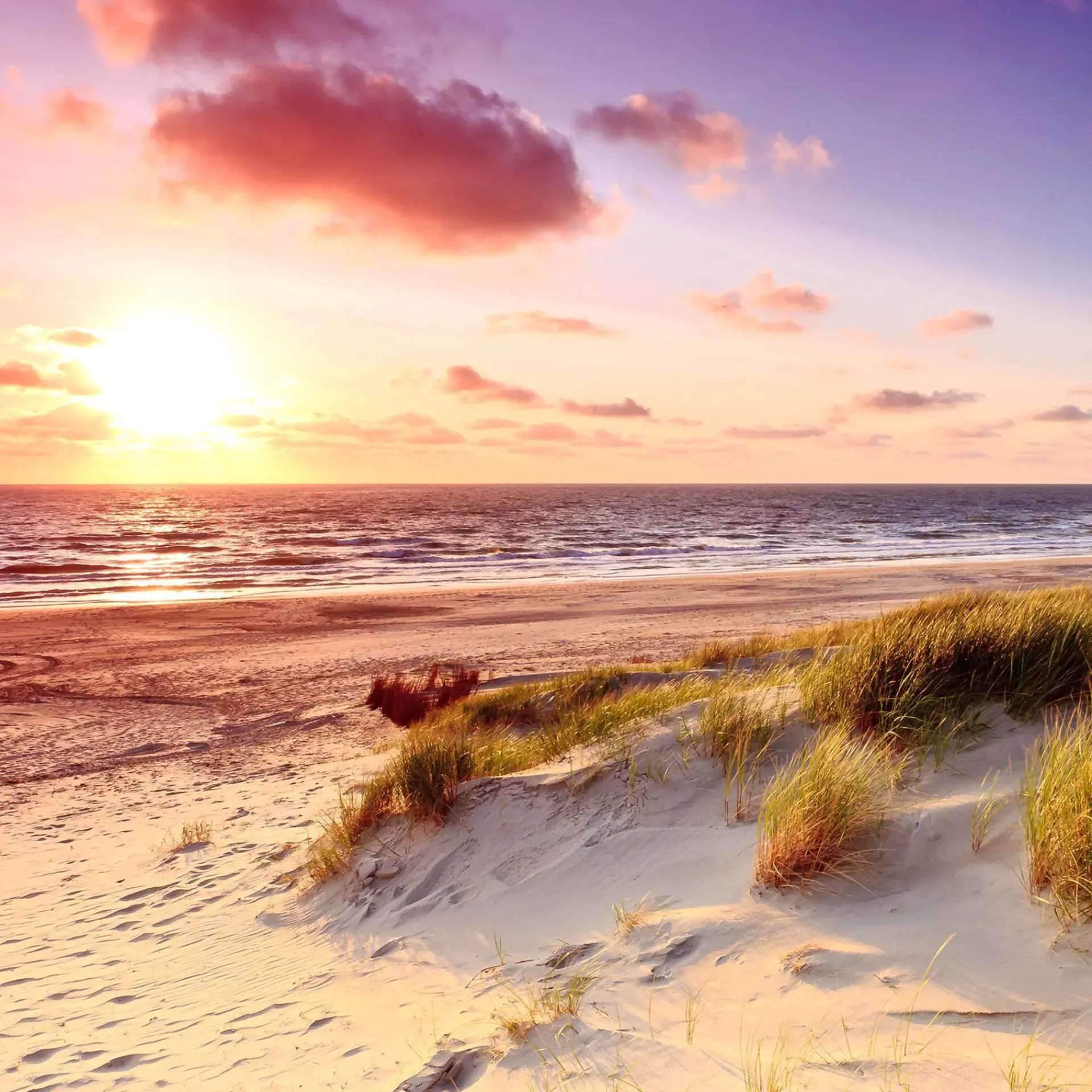 Bilder | Pro-Art Bild