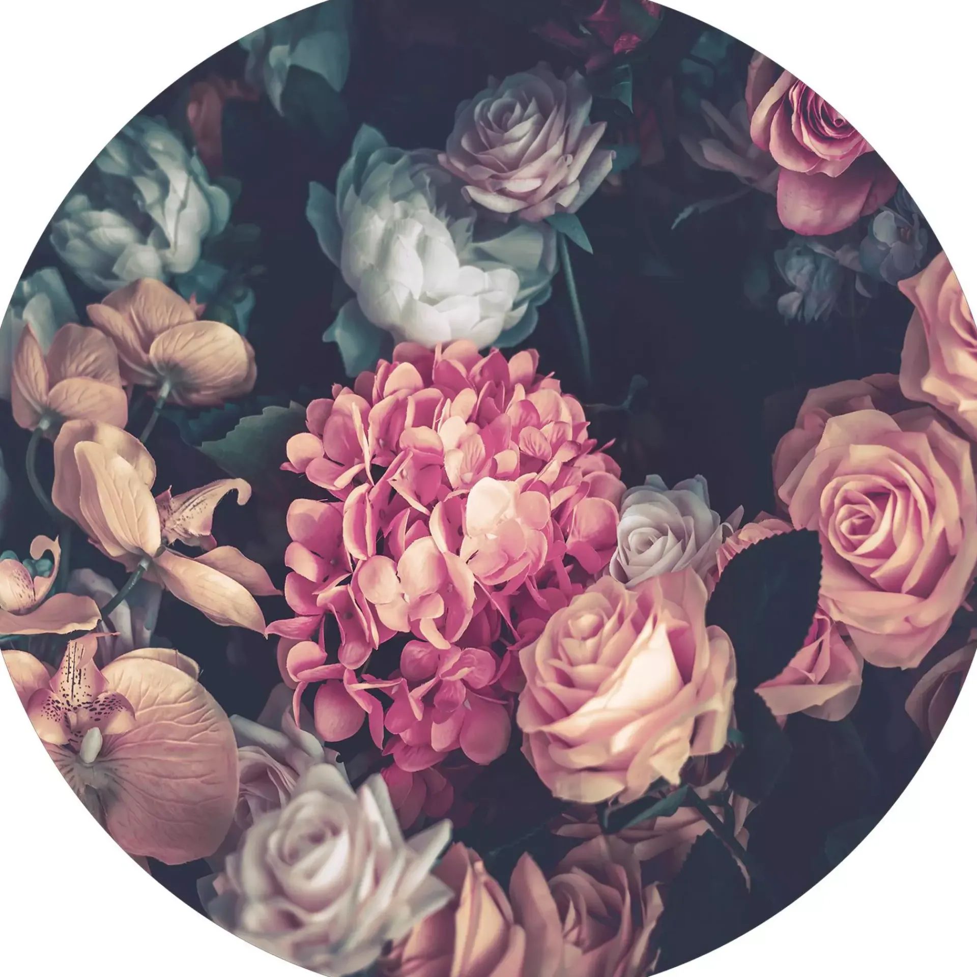 Bilder | Pro-Art Bild
