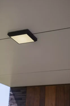 Außendeckenleuchten | Außenwandleuchten | Eco-Light Decken-Aussenleuchte