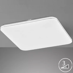 Deckenleuchten | Fischer-Honsel Deckenleuchte