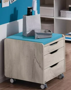 Bürocontainer | PAIDI Rollcontainer