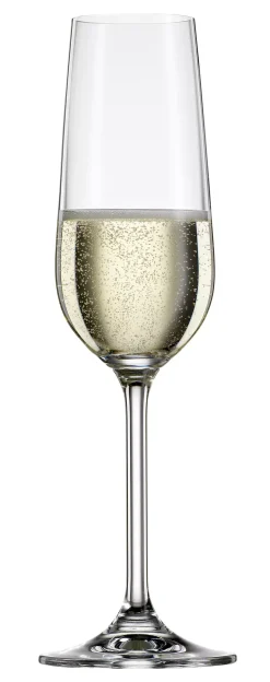 Gläser | Bohemia Cristal Sektglas