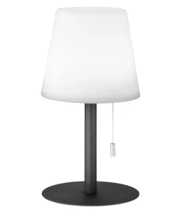 Akku-Leuchten | Tischleuchten | FHLighting Tischleuchte