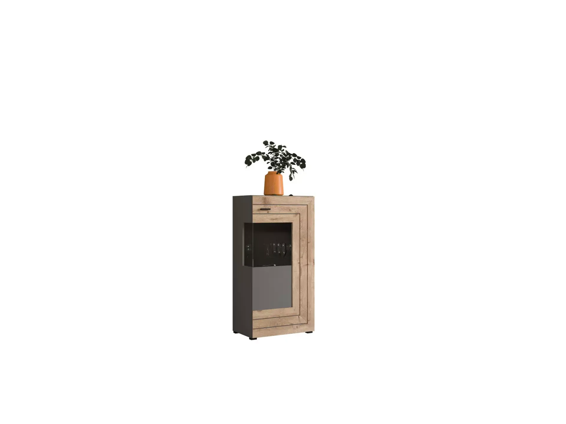 Vitrinen | CELECT Vitrine