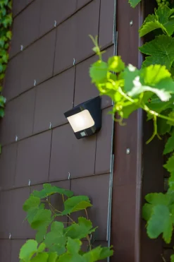 Akku- Und Solarleuchten | Außenwandleuchten | Eco-Light Wand-Aussenleuchte