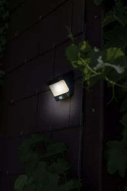 Akku- Und Solarleuchten | Außenwandleuchten | Eco-Light Wand-Aussenleuchte