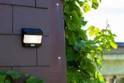 Akku- Und Solarleuchten | Außenwandleuchten | Eco-Light Wand-Aussenleuchte