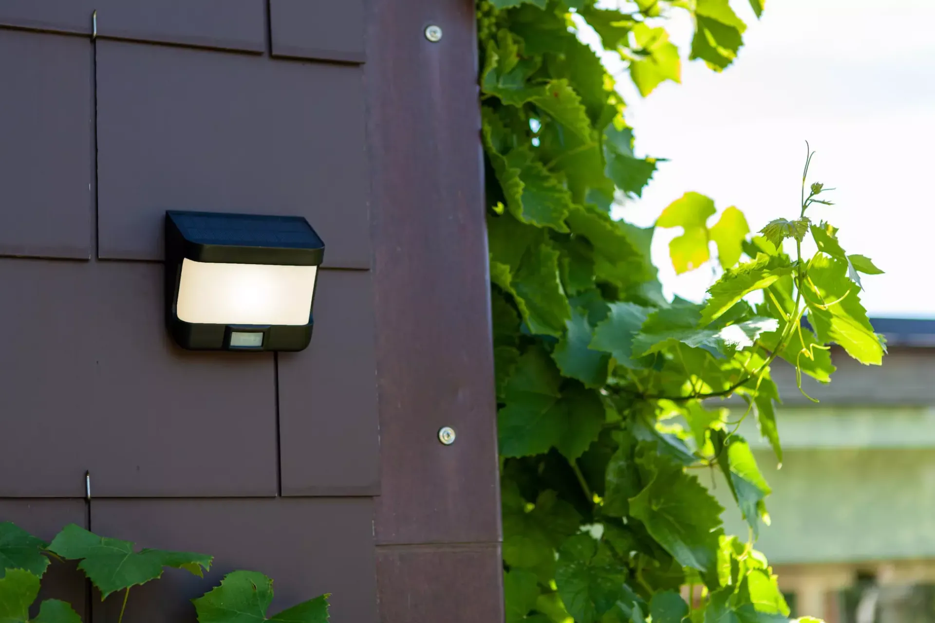 Akku- Und Solarleuchten | Außenwandleuchten | Eco-Light Wand-Aussenleuchte