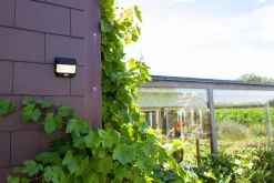 Akku- Und Solarleuchten | Außenwandleuchten | Eco-Light Wand-Aussenleuchte